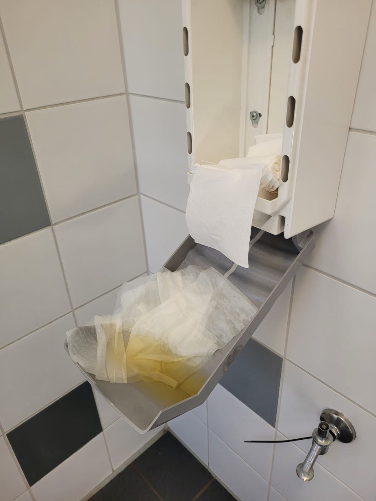 Geöffneter Papierspender an weißen Fliesen, Papier hängt heraus.