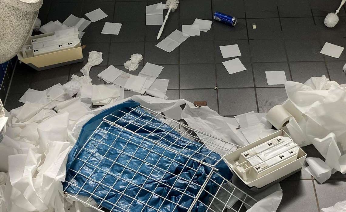 Ausschnitt: zwei offene Handtuchspender mit intakten Rückwänden, daneben der Drahtkorb mit blauem Beutel und trockenes Papier.